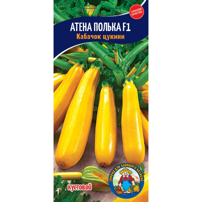 Кабачок цукіні Атена Полька F1 (5 шт.)