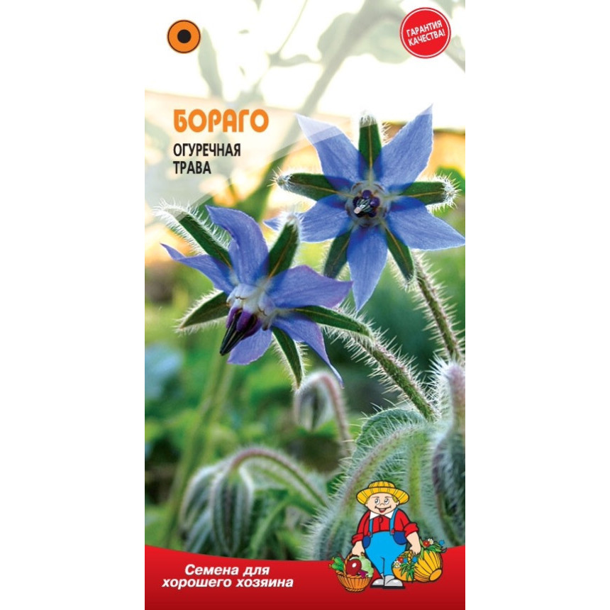 Бораго (огіркова трава) 2 г