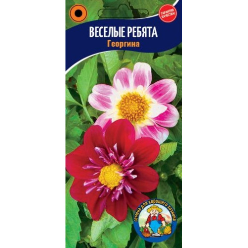 Георгіна Веселі Хлопці