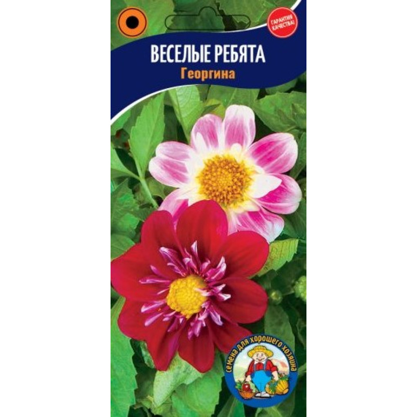 Георгіна Веселі Хлопці