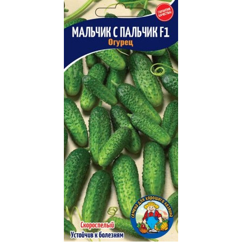 Огірок Мальчик с Пальчик 12-15 шт. 