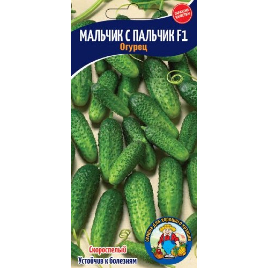 Огірок Мальчик с Пальчик 12-15 шт. 