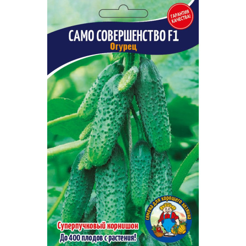 Огірок Сама Досконалість 50-70 шт.