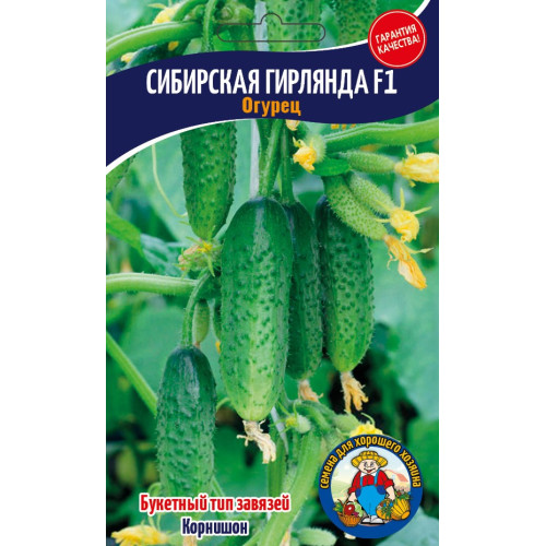 Огірок Сибірська Гірлянда 50-70 шт.