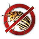 Від колорадського жука