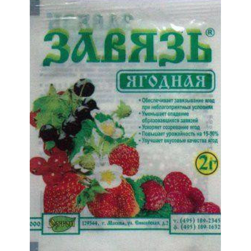 Зав'язь ягода 2г.