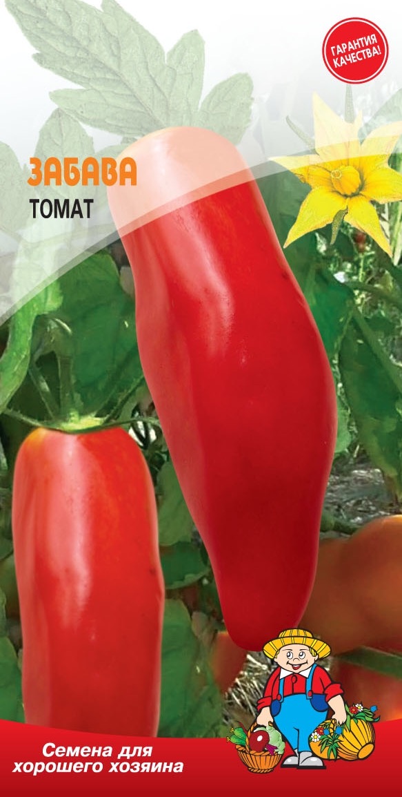 Забава томат описание и фото